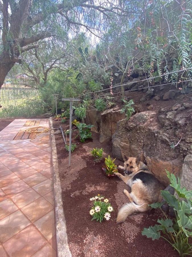 Casita Entre Vinedos, Experiencia Rural, Ideal Ninos. Tegueste Extérieur photo
